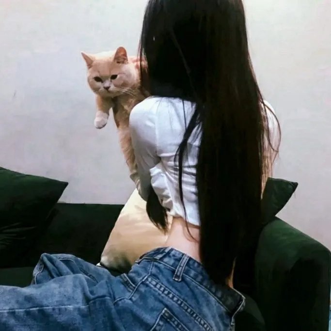 时间上的家